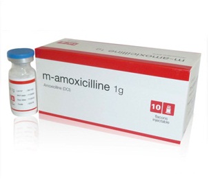 Amoxicilline 1g