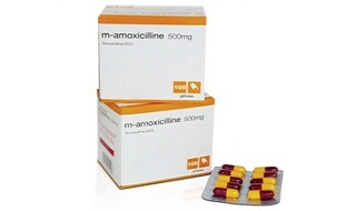 Amoxicilline